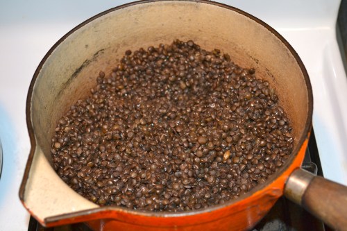 cooked lentils for vegetarian shepherd's pie