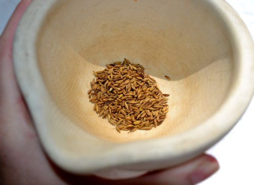 roasted cumin seeds