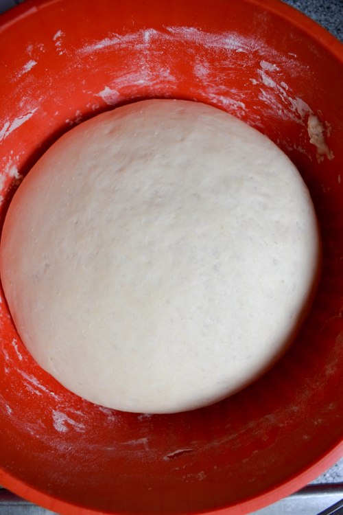 risen dough-1